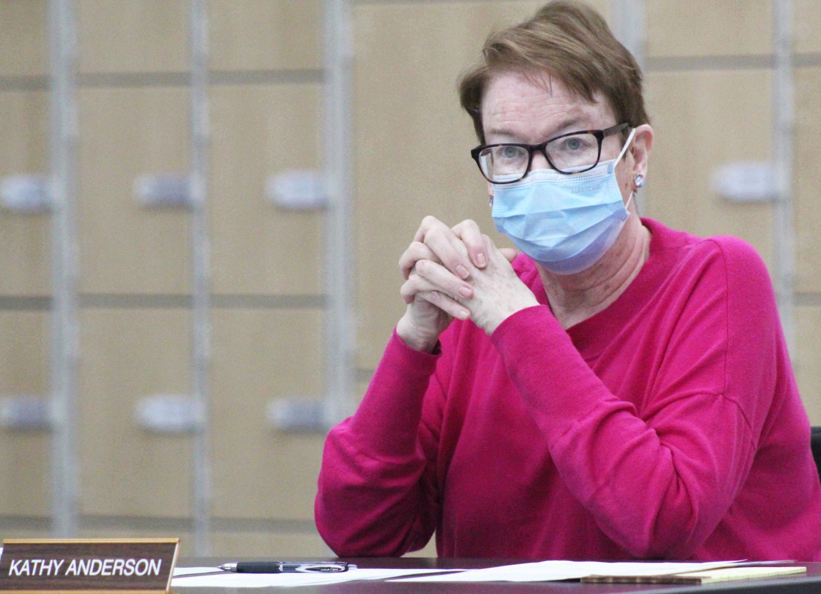Kathy speaks at meeting